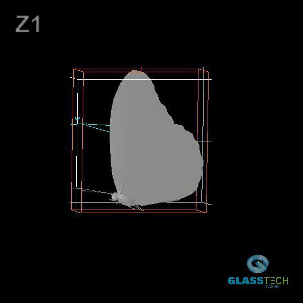 Z1
