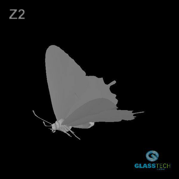 Z2