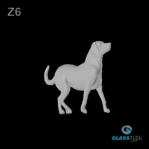 Z6