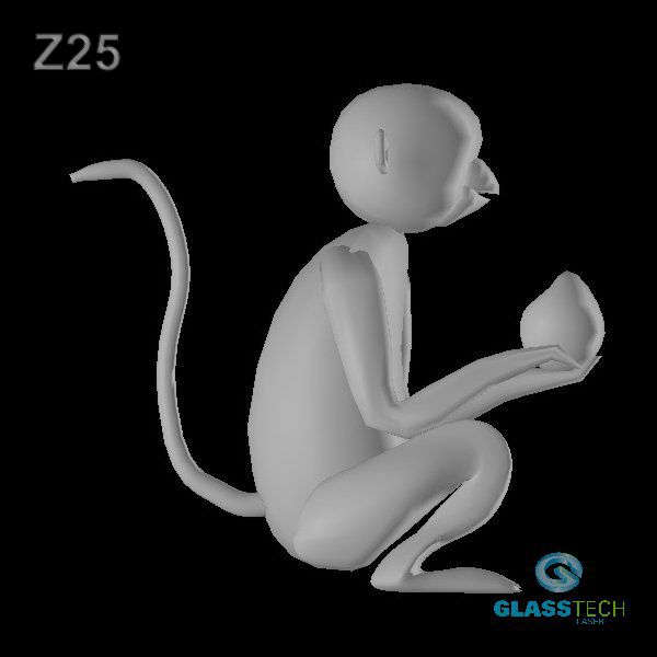 Z25