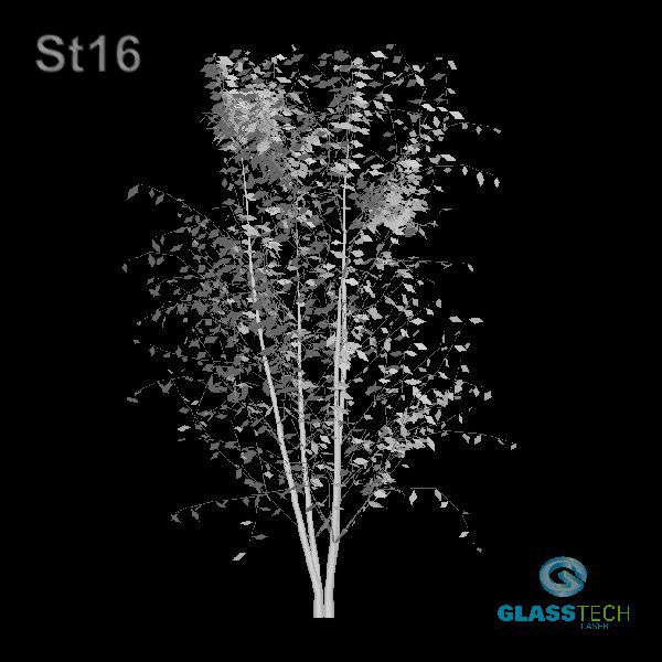 St16