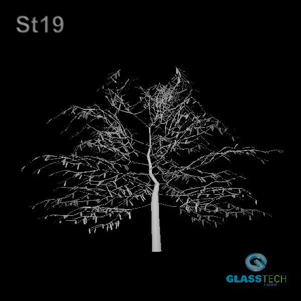 St19