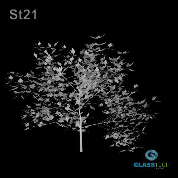St21