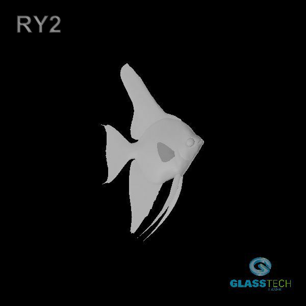RY2