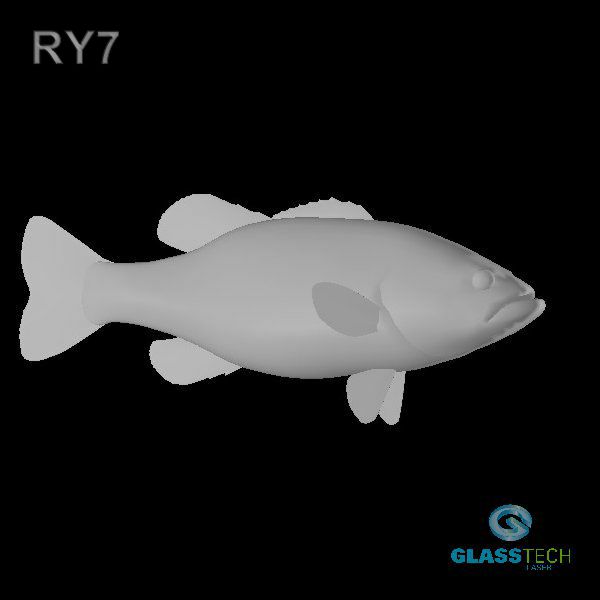 RY7