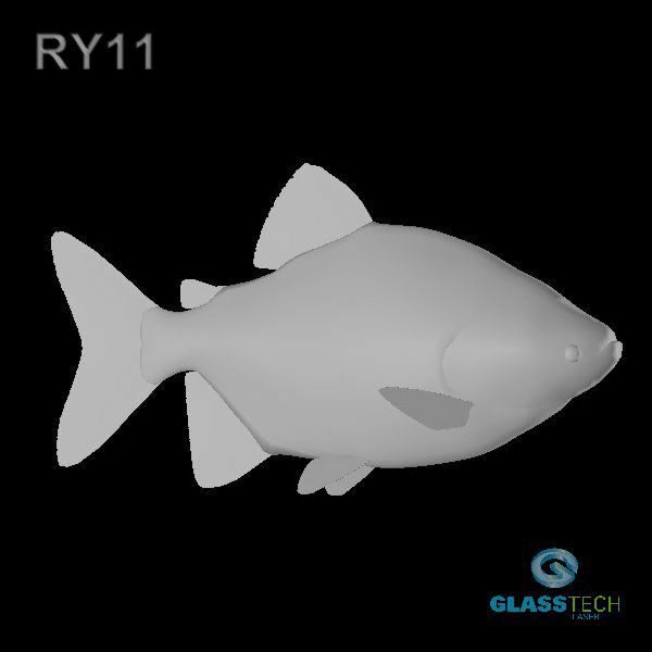 RY11