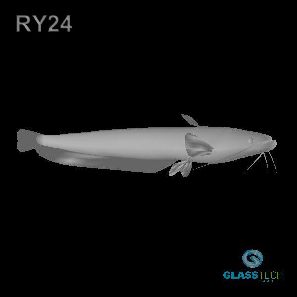 RY24