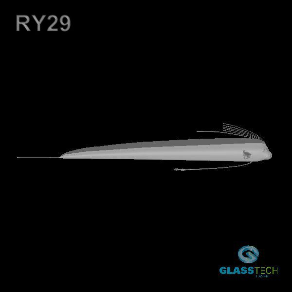RY29