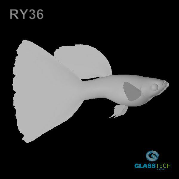 RY36