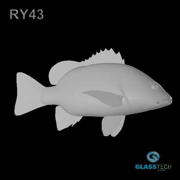 RY43