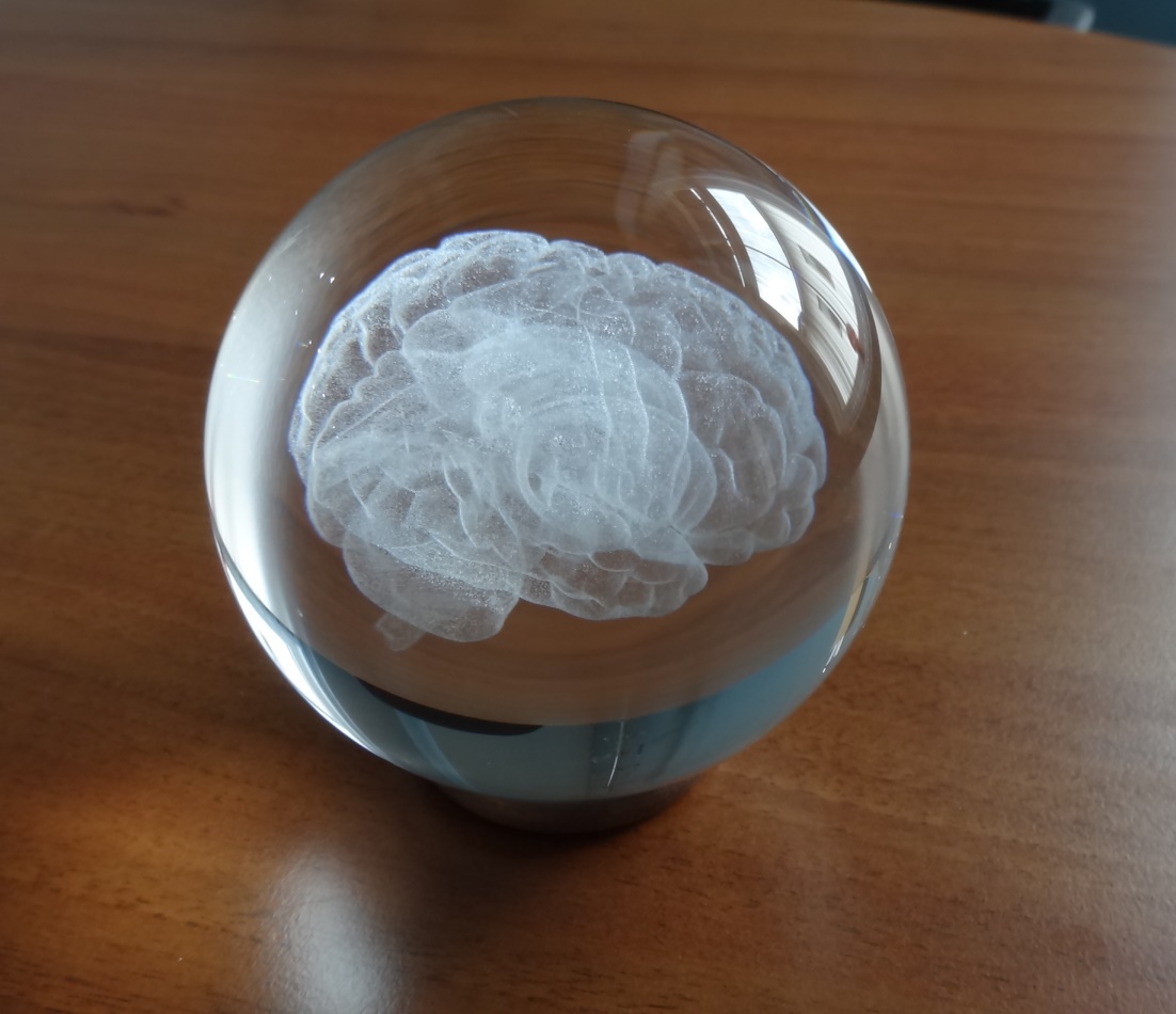 3D MOZEK v kouli 120 mm