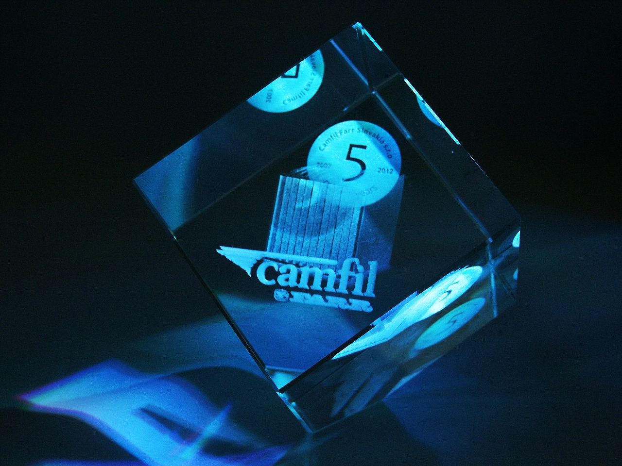 3D PORTRÉT V KOSTCE NA ROHU 60 mm