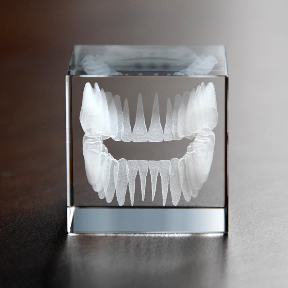 3D Zuby v krychli 100 mm