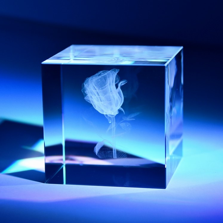 3D Růže laserovaná ve skl. krychli 100 mm