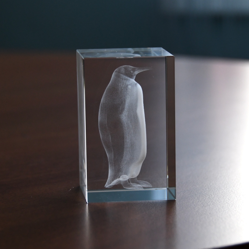 3D tučňák ve skle 50 x 50 x 80 mm 